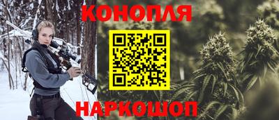 ешки Бийск
