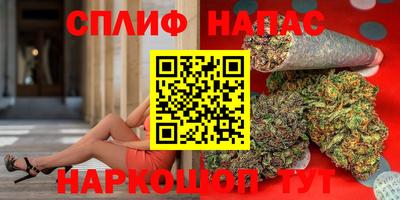 ешки Бийск