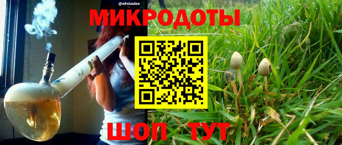 Галлюциногенные грибы Psilocybe  Вход с VPN  где продают   Галлюциногенные грибы ЛСД  Карпинск 